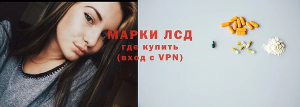 твердый Ладушкин