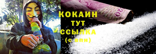 твердый Ладушкин