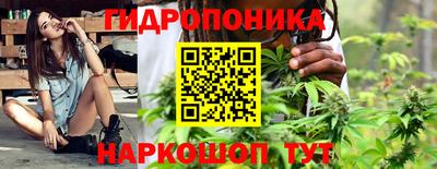 apvp Ставрополь