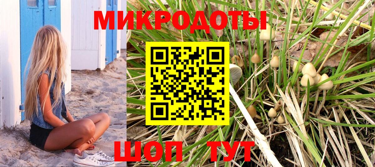 Галлюциногенные грибы мицелий Черемхово