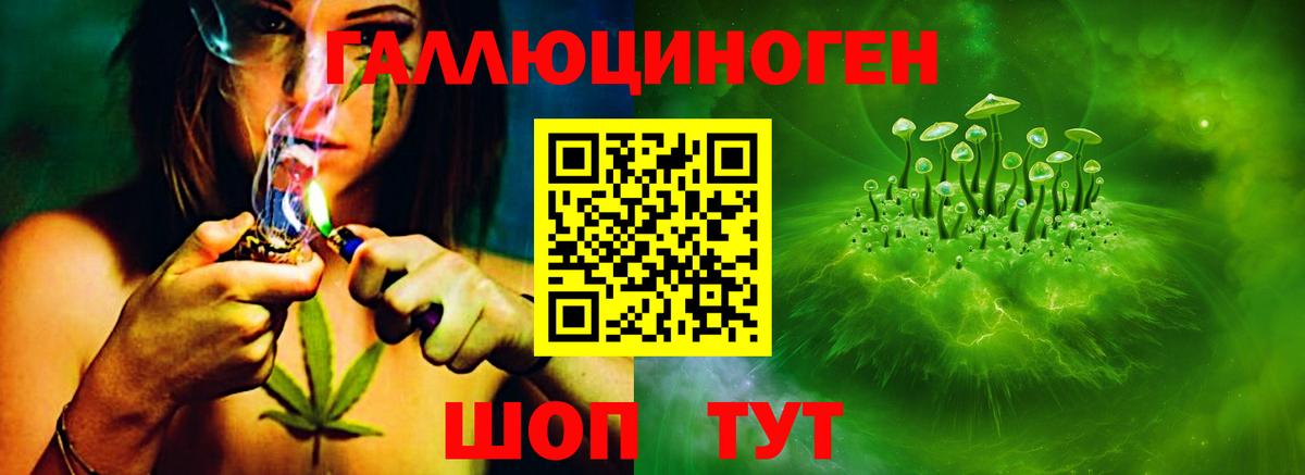Галлюциногенные грибы Psilocybine cubensis  Галлюциногенные грибы мицелий  Черемхово  Вход с VPN 