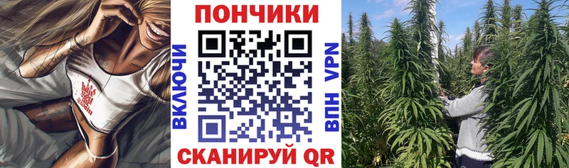 Шишки марихуана сатива закладки блэк спрут ссылки мориарти наркотические препараты Черемхово